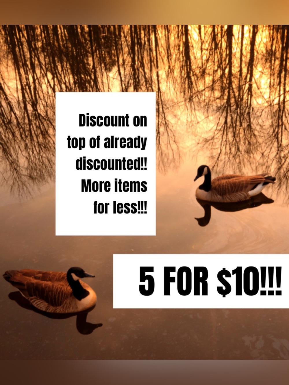 💛🦢5 FOR $10!!! 🦢💛 - Picture 3 of 3